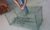 Gabion Box